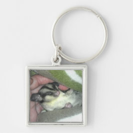 Slapen van suikerglider in mandje sleutelhanger