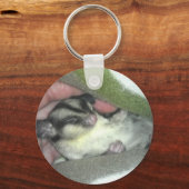 Slapen van suikerglider in mandje sleutelhanger (Voorkant)