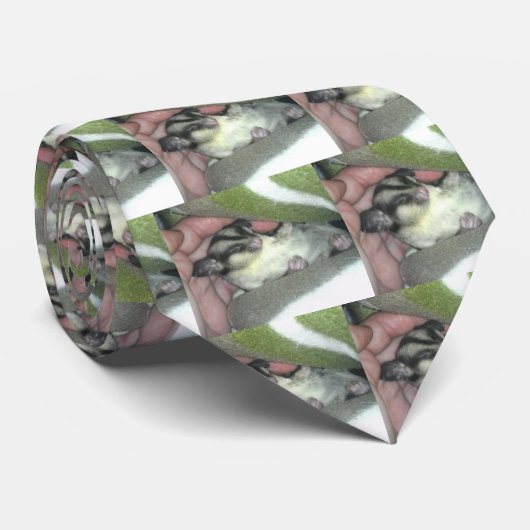 Slapen van suikerglider in mandje stropdas (Opgerold)