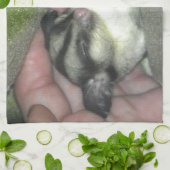 Slapen van suikerglider in mandje theedoek (Gevouwen)