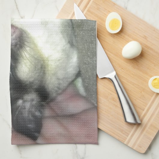 Slapen van suikerglider in mandje theedoek (Quarter Fold)