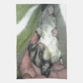 Slapen van suikerglider in mandje theedoek (Verticaal)