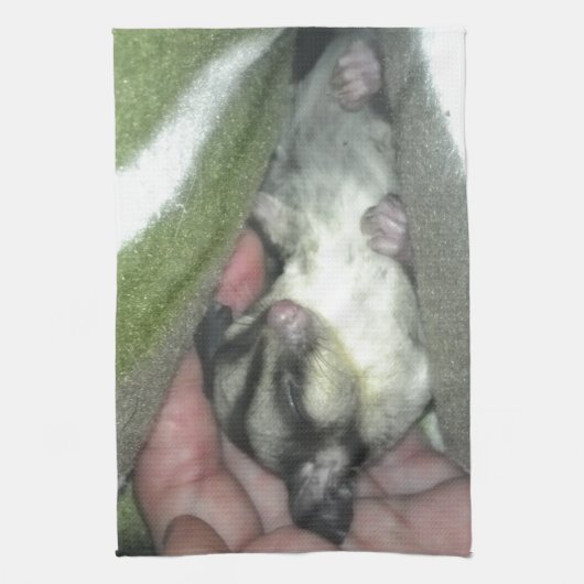 Slapen van suikerglider in mandje theedoek (Verticaal)