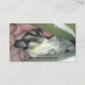 Slapen van suikerglider in mandje visitekaartje (Achterkant)