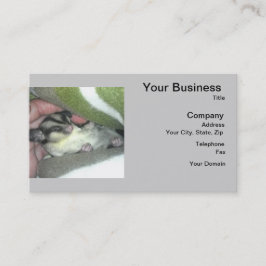 Slapen van suikerglider in mandje visitekaartje