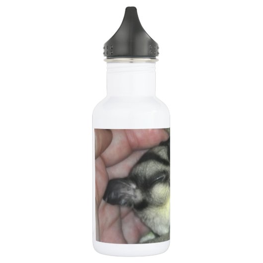 Slapen van suikerglider in mandje waterfles  (Links)