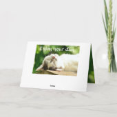 Slapen Witte Kat Verjaardag Kaart (Achterkant)