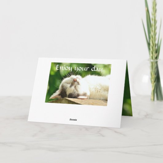 Slapen Witte Kat Verjaardag Kaart (Achterkant)