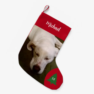 Slapen Witte Puppy Hond Foto Kleine Kerstsok