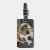 Slapend Bagagelabel (Voorkant verticaal)