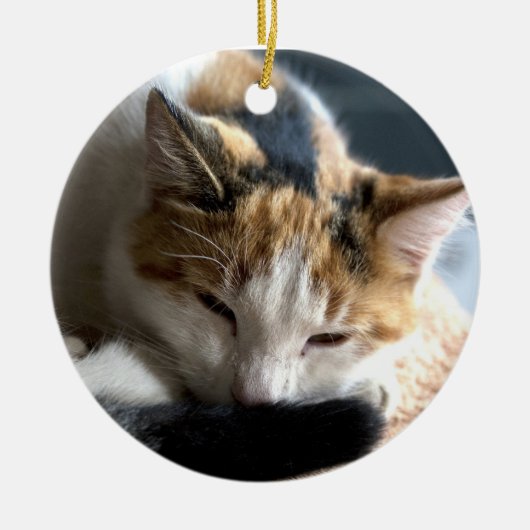 Slapend Calico Keramisch Ornament (Voorkant)