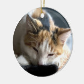 Slapend Calico Keramisch Ornament (Links)