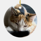 Slapend Calico Keramisch Ornament (Achterkant)