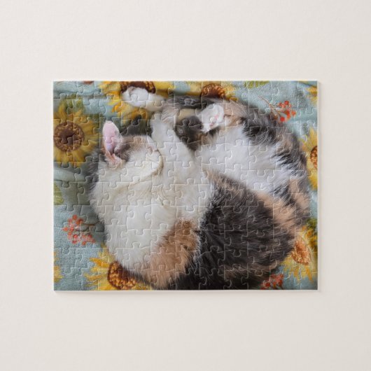 Slapend Calico Legpuzzel (Horizontaal)