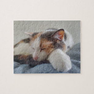 Slapend Calico Legpuzzel