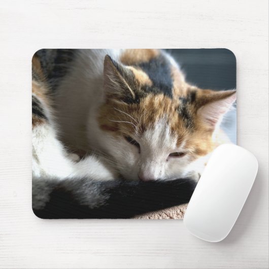 Slapend Calico Muismat (Met muis)