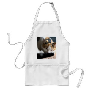 Slapend Calico Standaard Schort