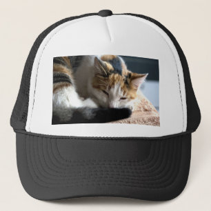 Slapend Calico Trucker Pet