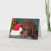 Slapend Chocolade Lab met kerstfoto Feestdagen Kaart (Voorkant)