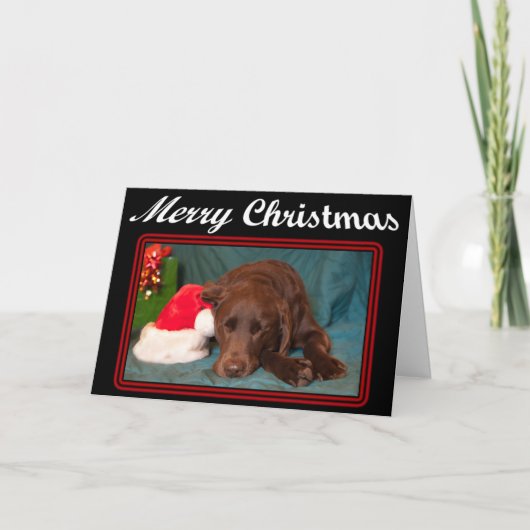 Slapend Chocolade Lab met kerstfoto Feestdagen Kaart (Voorkant)