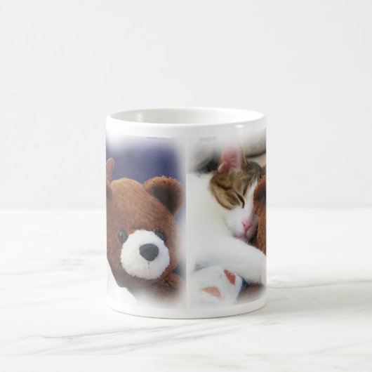 Slapend Kat met Teddy Mok (Center)