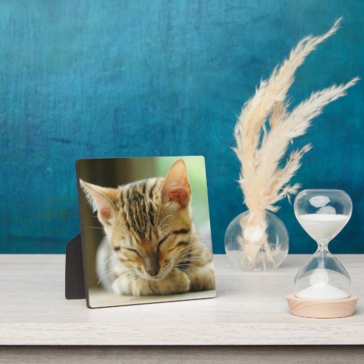 Slapend klein Baby Kat Fotoplaat (Insitu)