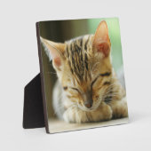 Slapend klein Baby Kat Fotoplaat (Voorkant)