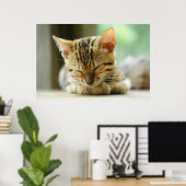 Slapend klein Baby Kat Poster (Thuiskantoor)