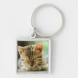 Slapend klein Baby Kat Sleutelhanger