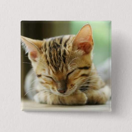 Slapend klein Baby Kat Vierkante Button 5,1 Cm (Voorkant)