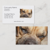 Slapend Mastiff Dog Visitekaartje (Voorkant / Achterkant)