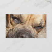 Slapend Mastiff Dog Visitekaartje (Achterkant)