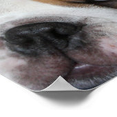 Slapend Poster (Hoek)