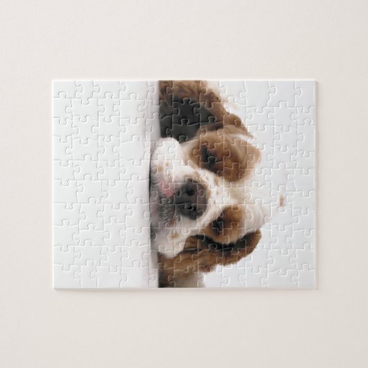 Slapend Rood/Wit Cocker Spaniel Legpuzzel (Horizontaal)