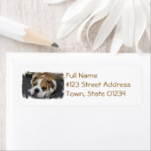 Slapende Adresetiketten Etiket (Insitu)