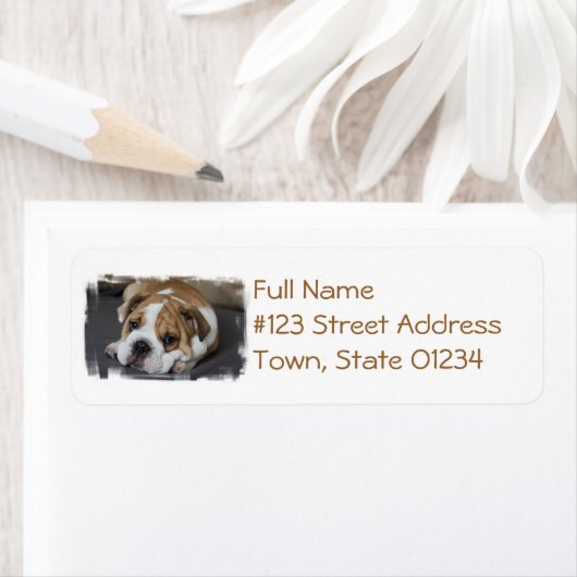 Slapende Adresetiketten Etiket (Insitu)