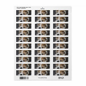 Slapende Adresetiketten Etiket (Full Sheet)