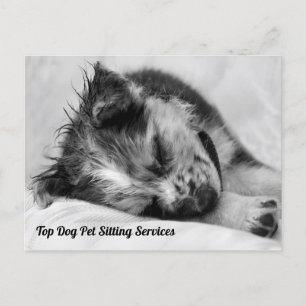 Slapende Australische Shepherd Puppy Pet Sitter Briefkaart