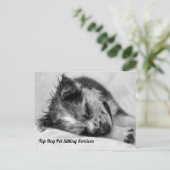 Slapende Australische Shepherd Puppy Pet Sitter Briefkaart (Staand voorkant)