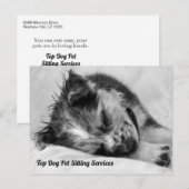 Slapende Australische Shepherd Puppy Pet Sitter Briefkaart (Voorkant / Achterkant)