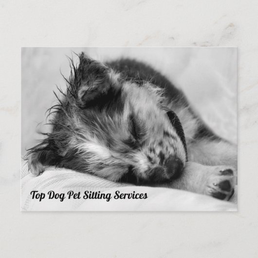 Slapende Australische Shepherd Puppy Pet Sitter Briefkaart (Voorkant)