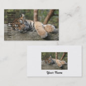 Slapende Baby tijger Visitekaartje (Voorkant / Achterkant)