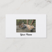 Slapende Baby tijger Visitekaartje (Achterkant)