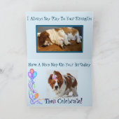 Slapende Basset op de Grappige Kaart van de (Binnen)