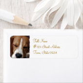 Slapende Beagle retour adres label (Insitu)