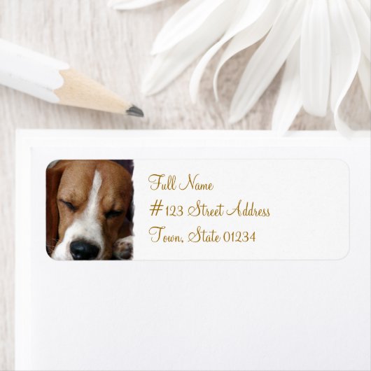 Slapende Beagle retour adres label (Insitu)
