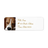 Slapende Beagle retour adres label (Voorkant)