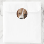 Slapende Beagle Sticker (Tas)