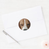 Slapende Beagle Sticker (Envelop)