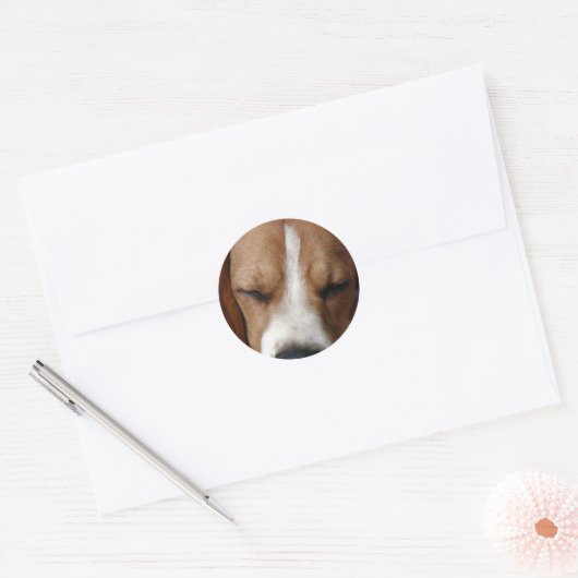 Slapende Beagle Sticker (Envelop)